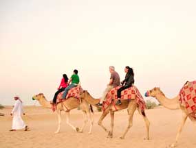 New Year's Eve Dhow Cruise